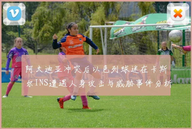 阿夫迪亚冲突后以色列球迷在卡斯尔INS遭遇人身攻击与威胁事件分析